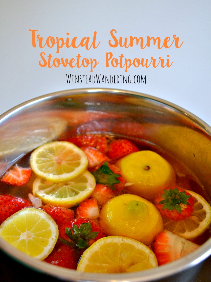 DIY tropical summer stovetop potpourri with citrus (via winsteadwandering.com)
