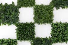 DIY greenery wall