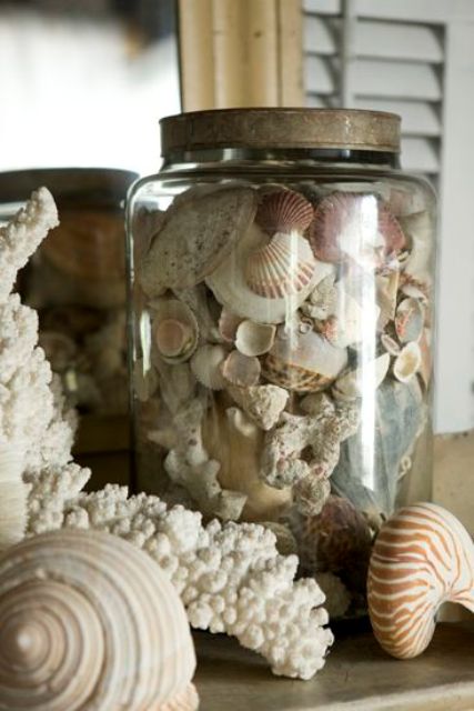 a jar filled with shells of all kinds and shades up to the lid