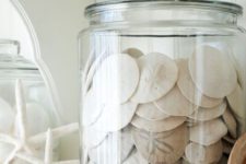08 a modern jar filled with shells is a great decoration for any space