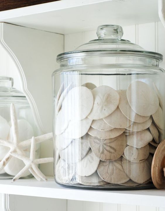 a modern jar filled with shells is a great decoration for any space