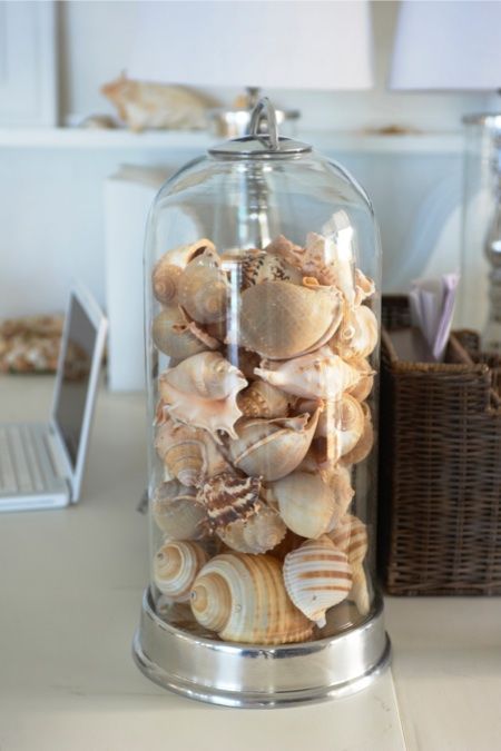 a tall cloche filled with shells completely for a coastal feel