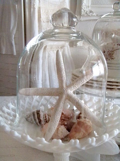 a cloche with shells and a star fish is a very simple idea to realize