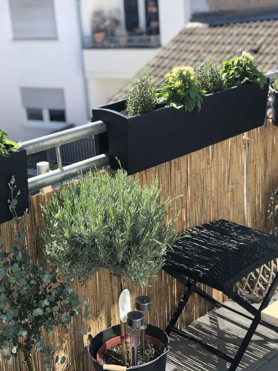 a black railing planter is a stylish solution for a modern space, you may grown herbs, blooms and greenery