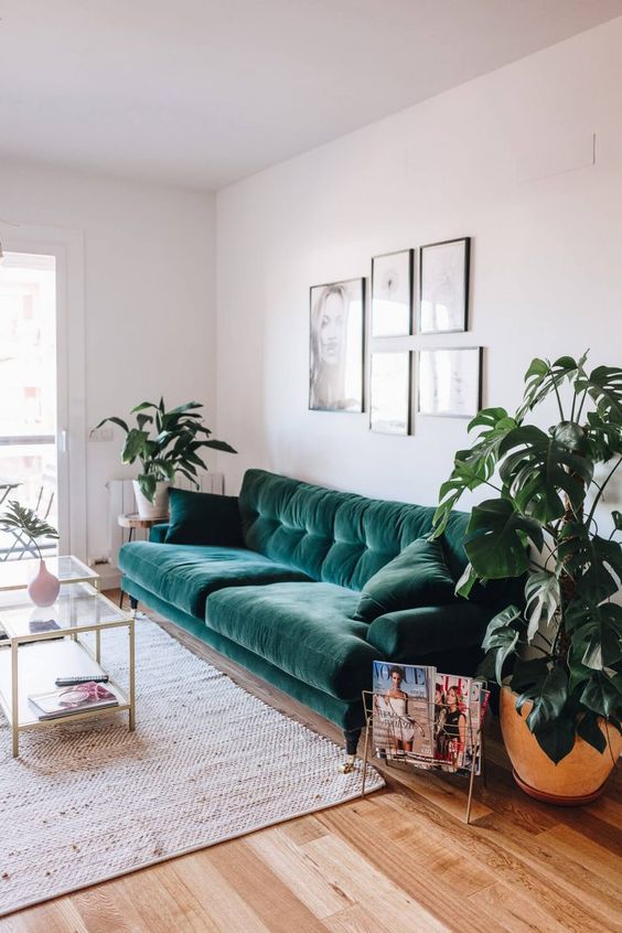 a neutral living room with a green velvet sofa, a gallery wlal, glass coffee tables, potted plants and some cool decor