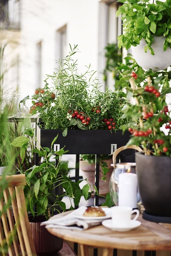 a small balcony with a planter wiht tomatoes, stained wooden furniture and some tableware and potted greenery