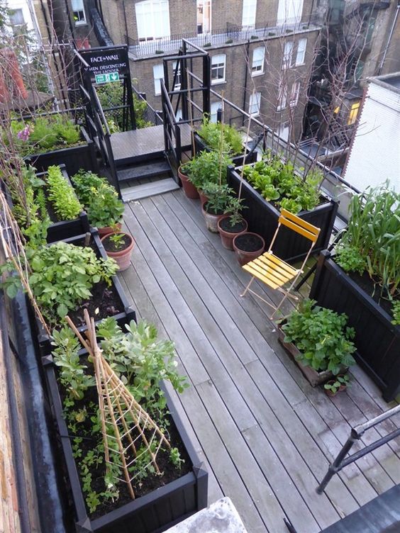 long planters and garden beds will allow some space in the balcony and will keep it green