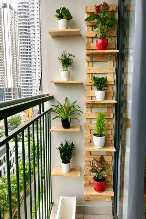wooden shelves on the wall with various plants in pots are a cool way to refresh the space in a lovely way