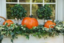 16 place pumpkins with greenery into window boxes for a cool fall feel