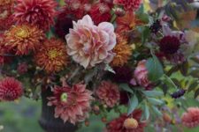 02 a bold fall bouquet with burnt orange, red and pink dahlias looks vivacious