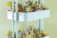 DIY succulent garden using an IKEA cart
