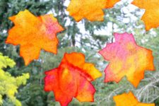 DIY fall leaf suncatchers