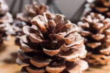 DIY cinnamon scented pinecones