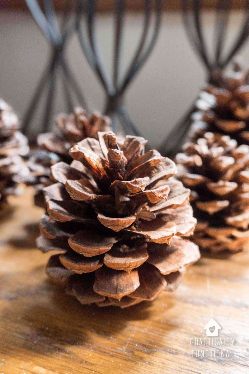 DIY cinnamon scented pinecones (via practicallyfunctional.com)