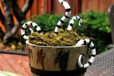 man-eating plants that look like snakes will be a nice decoration for Halloween, both indoor and outdoor