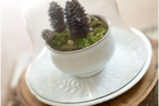 DIY winter terrarium with pinecones
