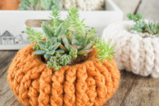 DIY crochet pumpkin succulent planter covers