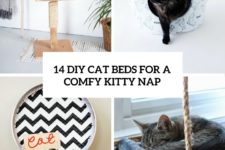 14 diy cat beds for a comfy kitty nap cover