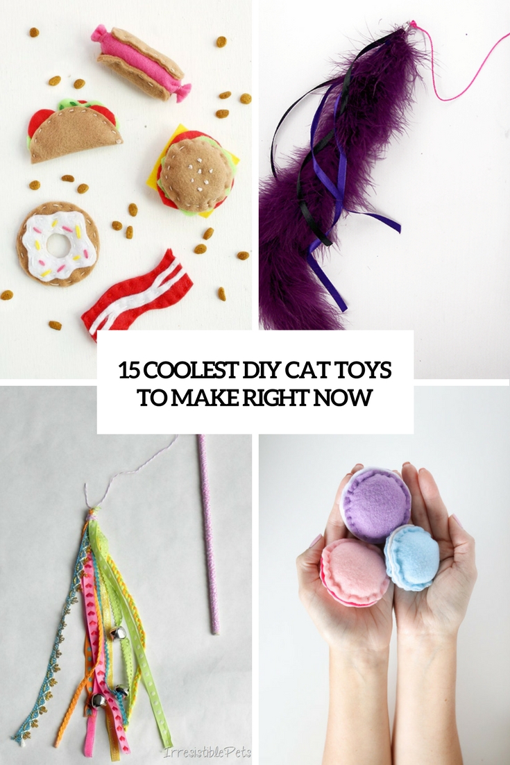 coolest diy cat toys to make right now cover