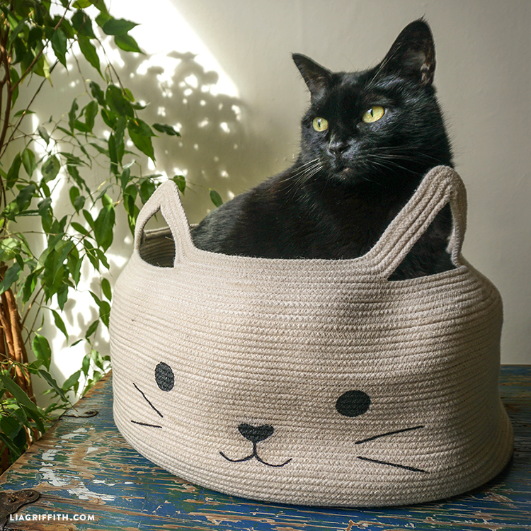 DIY cat bed of clothesline (via liagriffith.com)