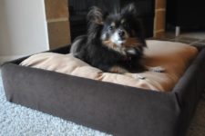 DIY upholstered platform dog bed