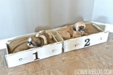 DIY drawer dog beds