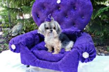 DIY glam armchair dog bed