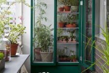 12 if there’s enough space, you can make a bold greenhouse with planters and hold them there