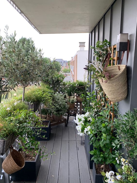 A garden like balcony styled with lots of potted greenery, blooms and even trees is amazing and refreshing
