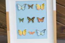 DIY butterfly specimen wall art