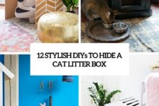 12 stylish diys to hide a cat litter box cover