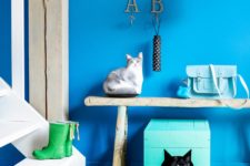 DIY turquoise cat litter box with a cat head cutout