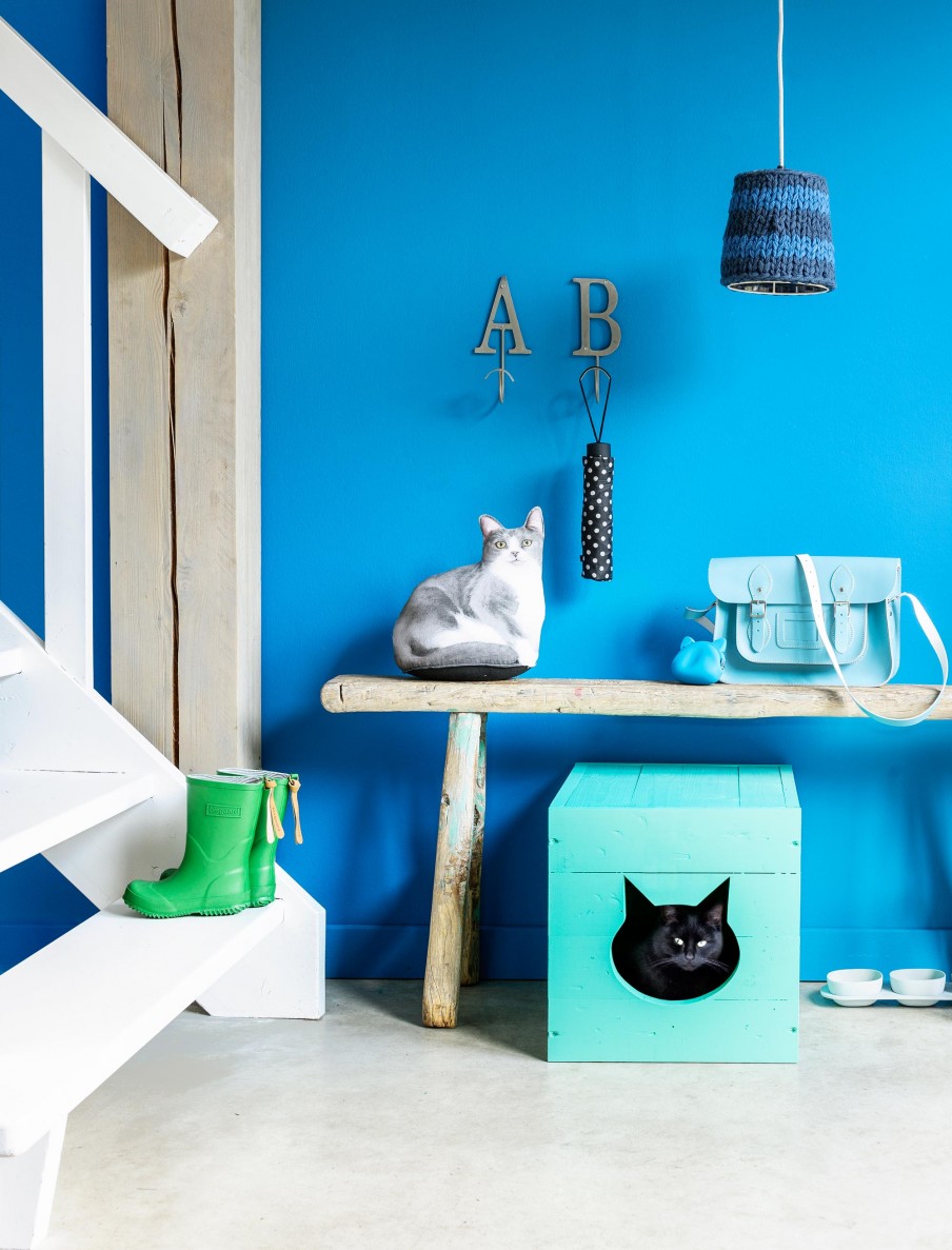 DIY turquoise cat litter box with a cat head cutout (via www.vtwonen.nl)