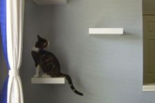 10 IKEA Lack shelves attached to the wall to make a kitty ladder