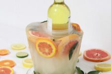 DIY citrus slice frozen ice bucket