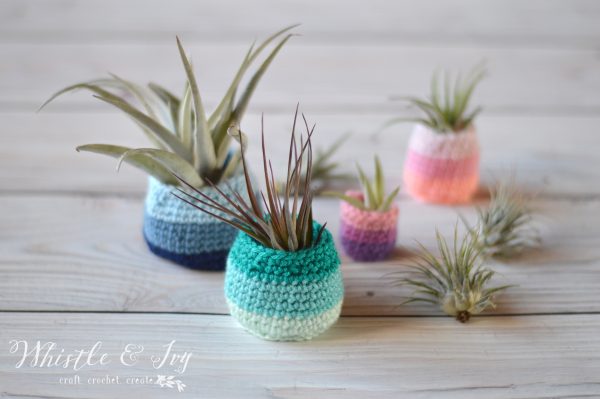 DIY crocheted ombre air plant pots (via www.whistleandivy.com)