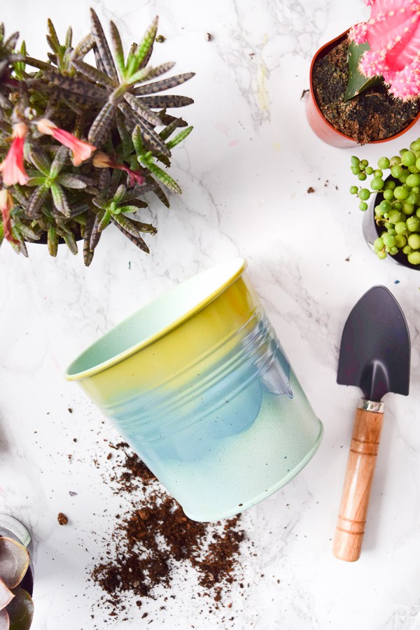 DIY ombre spray painted tin planters from IKEA (via www.pmqfortwo.com)