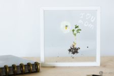 DIY modern flower with roots art in a clear frame