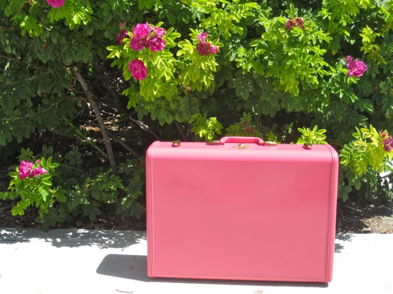 DIY vintage suitcase repainted in pink (via prettyprovidence.com)