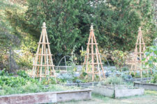 DIY French garden trellises