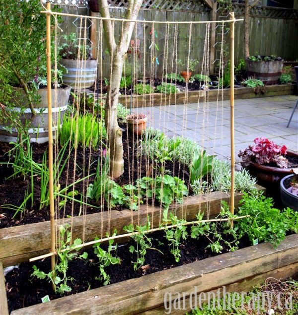 DIY bamboo and twine garden trellis (via gardentherapy.ca)