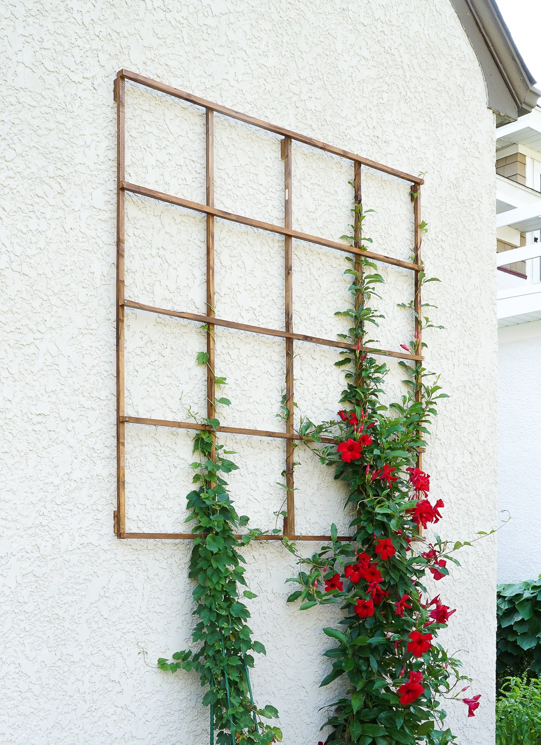 DIY wall mounted wood garden trellis