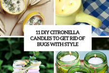 11 diy citronella candles to get rid of bugs with style cover