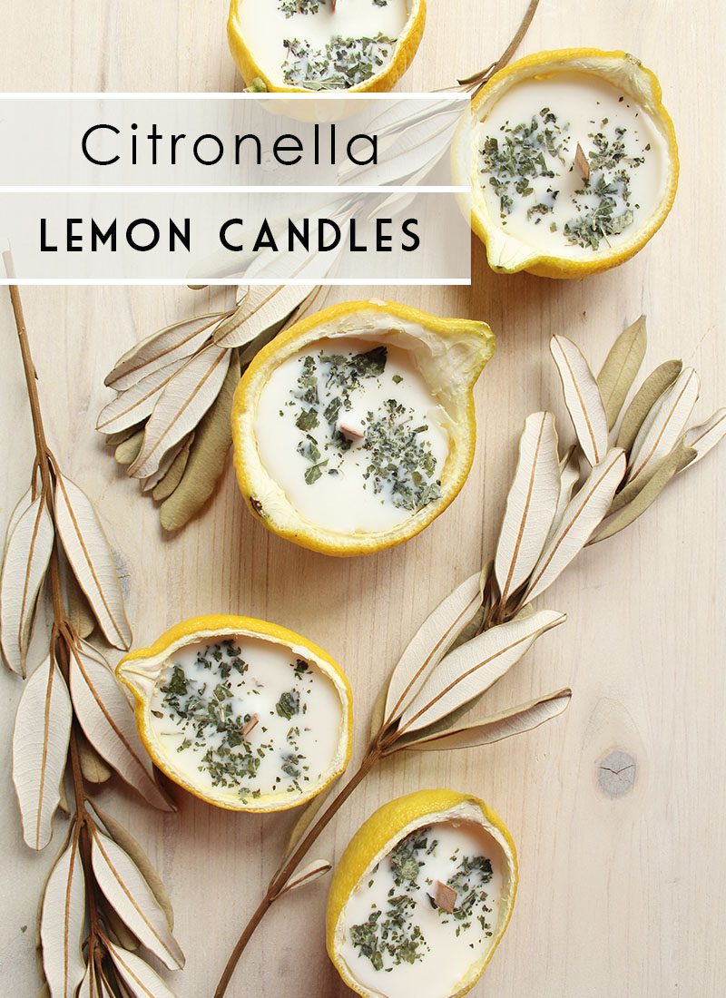 DIY citronella lemon halves candles with herbs