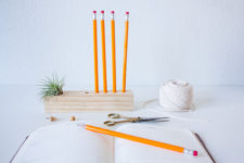 DIY minimalist wooden pencil holder with an airplant