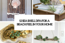 12 sea shell diys for a beach feel in your home cover