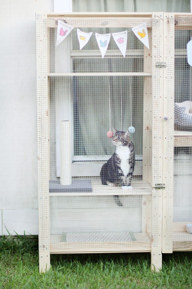 two Hejne shelves by IKEA turned into an outside walking space for your cat