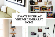 15 ways to display vintage cameras at home cover