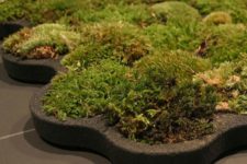 DIY real moss covered bathroom mat