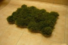 DIY real grass bathroom mat